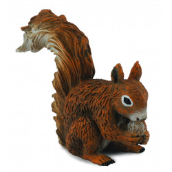 COLLECTA (S) Red Squirrel - Eating 88467