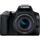 Canon EOS 250D (Black) + EF-S 18-55mm f/4-5.6 IS STM + EF 50mm f/1.8 STM