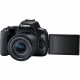 Canon EOS 250D (Black) + EF-S 18-55mm f/4-5.6 IS STM + EF 50mm f/1.8 STM