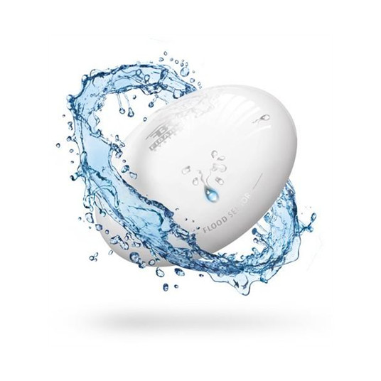 Fibaro Plūdu sensors Z-Wave